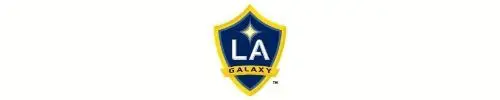 LA Galaxy Academy
